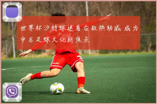 世界杯沙特球迷看台狂热助威 成为中东足球文化新焦点