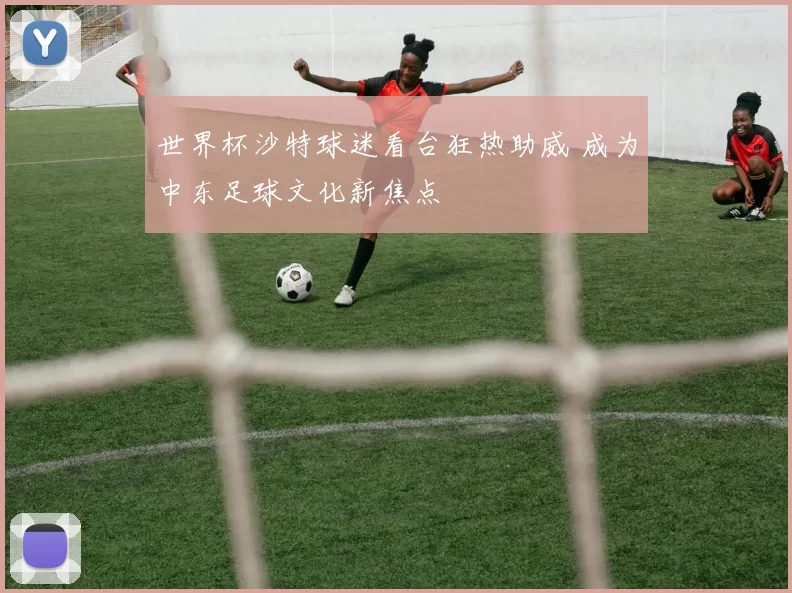 世界杯沙特球迷看台狂热助威 成为中东足球文化新焦点