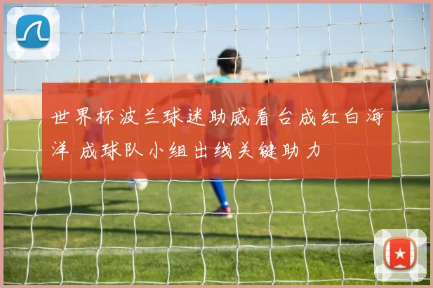 世界杯波兰球迷助威看台成红白海洋 成球队小组出线关键助力