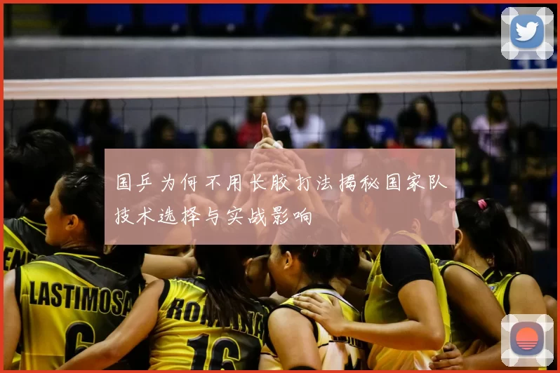 国乒为何不用长胶打法揭秘国家队技术选择与实战影响