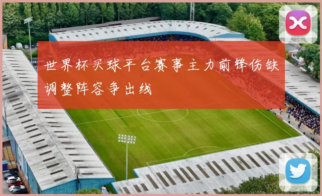 世界杯买球平台赛事主力前锋伤缺调整阵容争出线