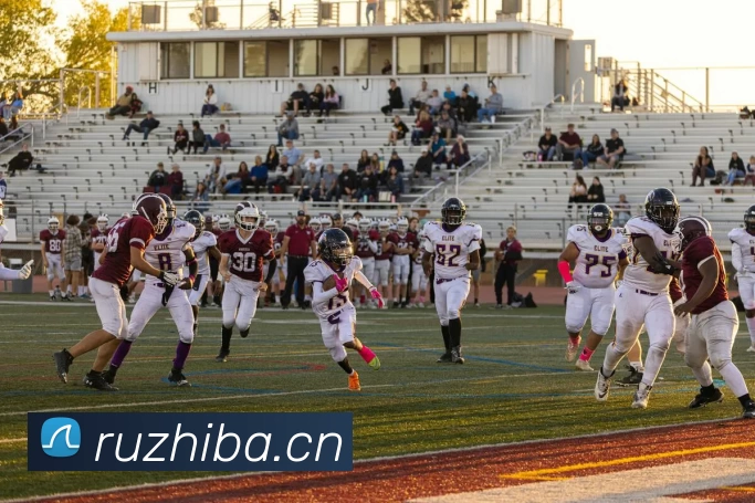 App Interface Preview